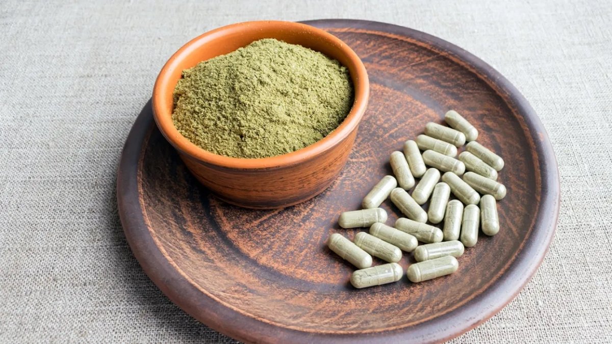5 Difference Between Kratom Extract And Powder Article Thirteen