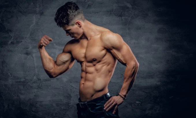 Benefits of Enclomiphene for Muscle Growth
