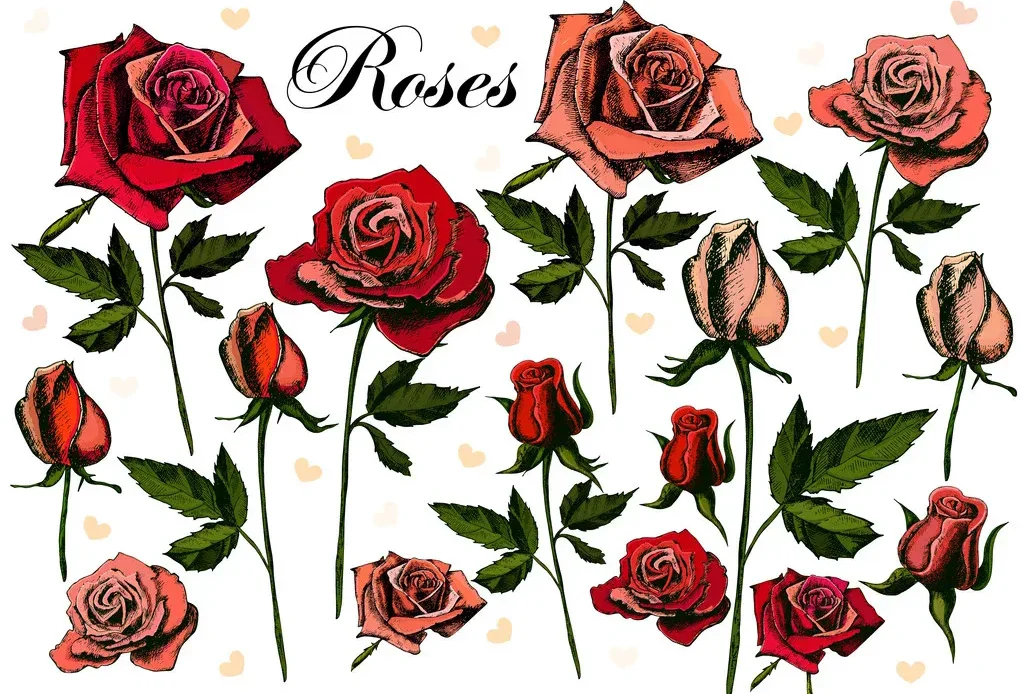 How Eternal Roses Became the Smart Choice for Home Styling