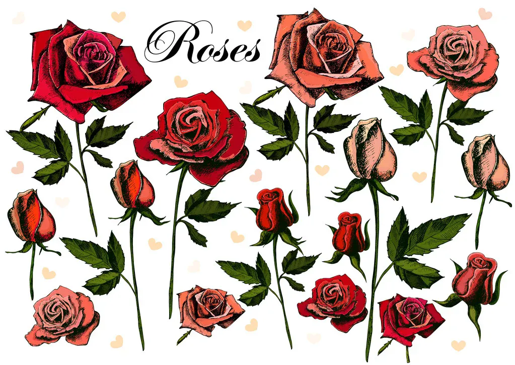 How Eternal Roses Became the Smart Choice for Home Styling
